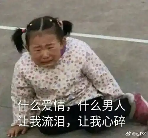  人类观察实录