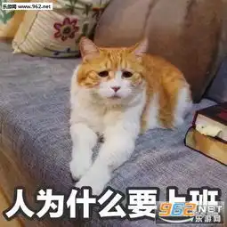  我不要面子的吗傲娇猫咪表情包人为什么要上班丧猫表情包下载乐游网游戏下载