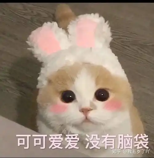  你男生会因为这次疫情不去找女朋友吗