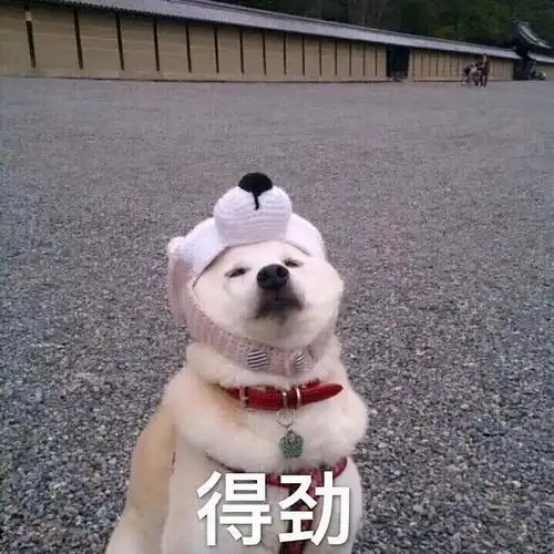  盒装cpu因此降价英特尔新保修政策出炉