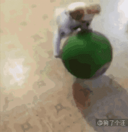  搞笑gif动态图一招制敌让你动弹不得