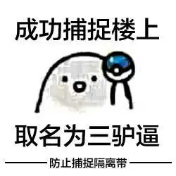  qq装b神图