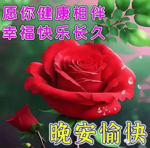  2023早安祝福图片,早上好表情包动态图片最新版本