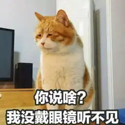 担心表情包猫咪高领