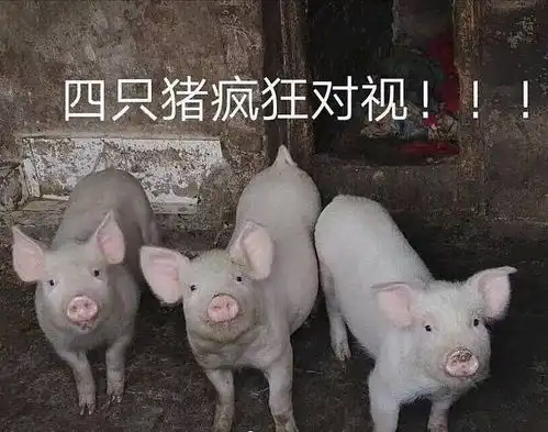  你们看那个贴了么脂粉也太可怕了吧