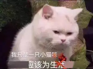  有意义的大学教会我们的事