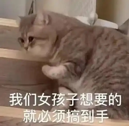 求关于写论文和搞学术的梗图