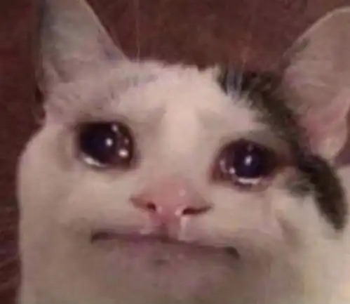  有没有流泪猫猫头的表情包太可爱了