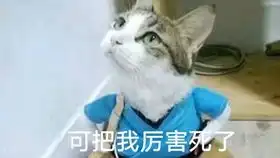  全场最佳三个火球手