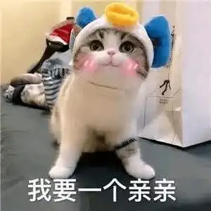  这届脱口秀大会,文案金句亮了