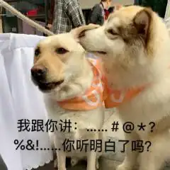  vivo云服务器在境外能定位吗,用vivo手机,要是还不知道云服务的这几个功能,那手机真的白买了...
