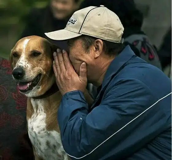  养狗之后一定要和它做的6件事,你做过几件