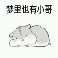  撩小哥哥的仓鼠表情包微信头像图片大全