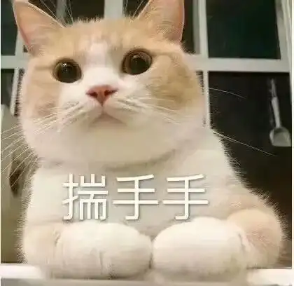 猫咪表情包,好可爱,我心都要化了 猫咪表情包,好可爱,我心都要化了
