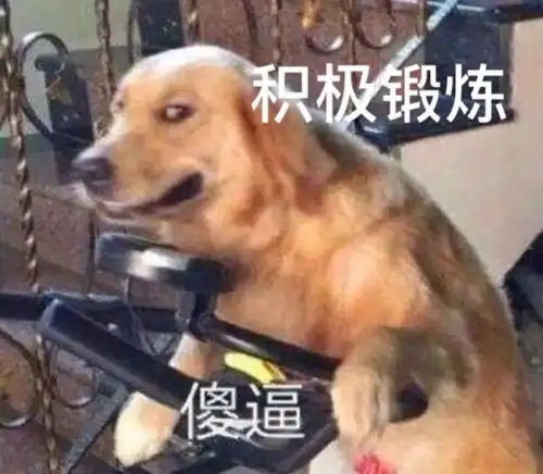  沙雕表情包l今天你想我了没