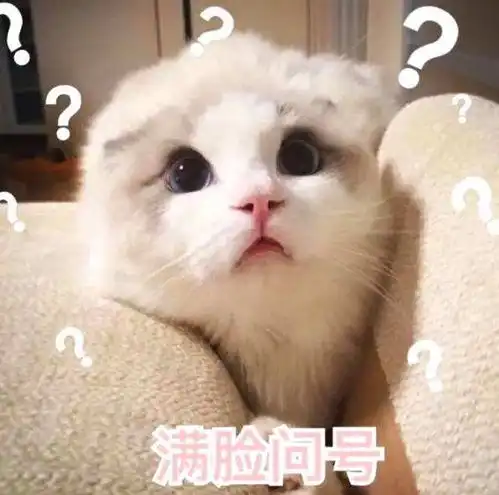  一脸懵逼文山这段路居然找不到公交车站