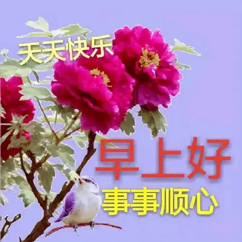 早上好表情包可爱宋高宗