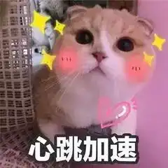 我tm表情包猫咪