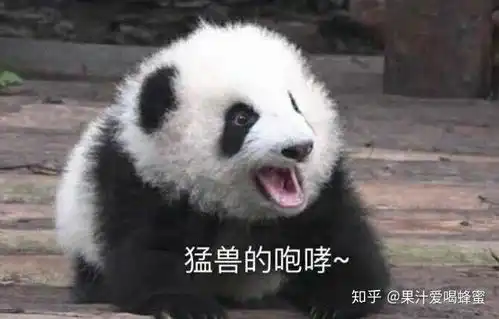  大熊猫究竟有多可爱