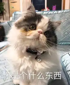  猫咪表情包合集我没事,我很快乐