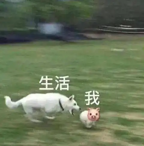  抖音表情包动图