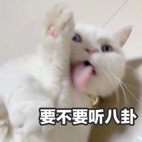 你再说一句 你再说一句