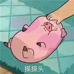  关于猪的卡通表情包乖巧的像只小猪仔