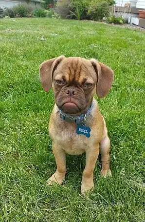 动物们那些令人捧腹的表情,简直堪称史诗级表情帝 动物们那些令人捧腹的表情,简直堪称史诗级表情帝