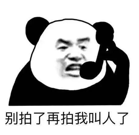 熊猫放屁爱心表情包拍一