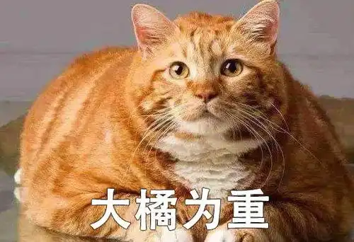 名侦探橘猫,上线 名侦探橘猫,上线