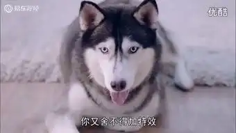  传冰