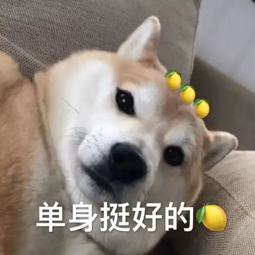真的假的表情包认清