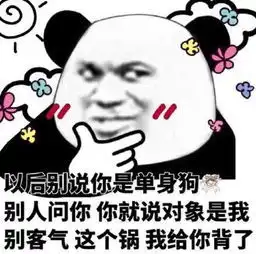  熊猫演我那约不出门的i人朋友了不起的朋友拍摄熊猫名场面靠时间积累丨揭秘