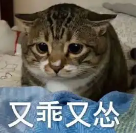  男生最招架不住的100张表情包太撩了,进来收图