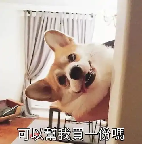  表情包狗狗萌宠沙雕系列