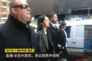 高云翔案再次开庭董璇面无表情令人忧虑 高云翔案再次开庭董璇面无表情令人忧虑
