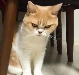  你知道吗,买彩票中奖的几率究竟有多高