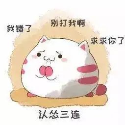  认怂表情包大哥我错了