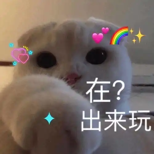 表情包我看你就是玩不起