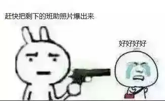  第六期听说你们的助班在群里还没有爆照