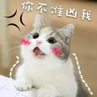  表情无所谓猫的微信头像卡通无所谓猫头像