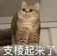 我得支棱起来的表情包