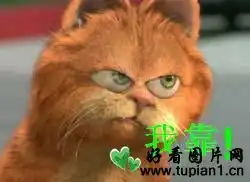  靠骂人的经典可爱表情