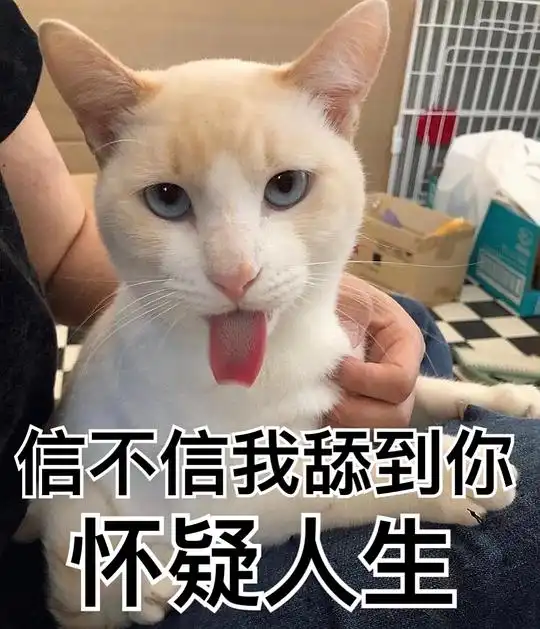  黑猫十一的相册我用别人家主子作过的表情包