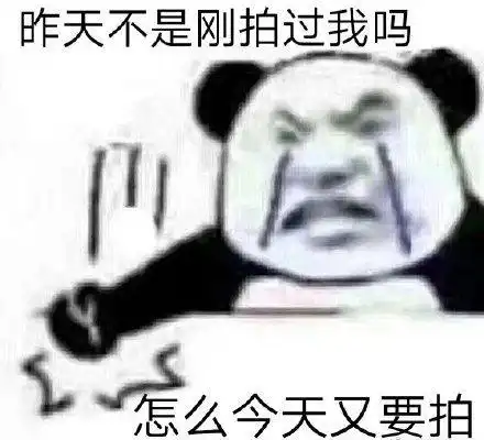 恭喜微信表情包拍一拍