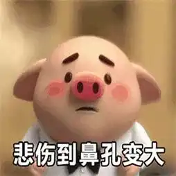  包你回家pick最靓的回家方式