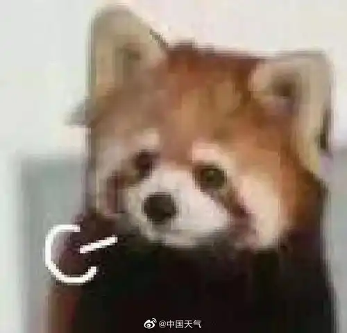  过去八年是全球有记录以来最暖的八年