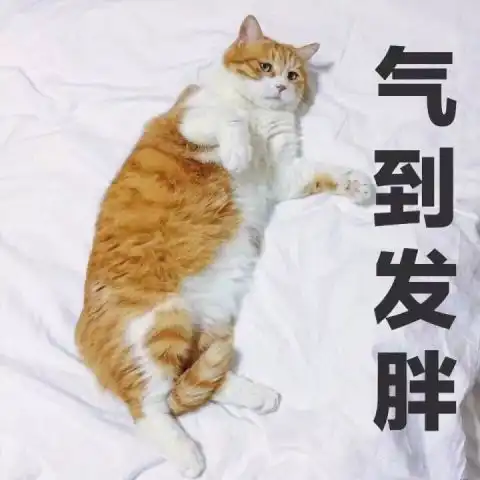 猫咪冲刺表情包卢先生