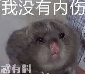  华农兄弟竹鼠中暑是什么意思有什么含义竹鼠别吃我表情包怎么火的
