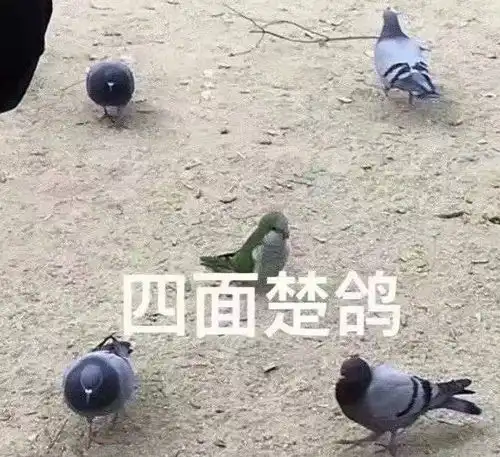  沙雕可爱搞笑表情包